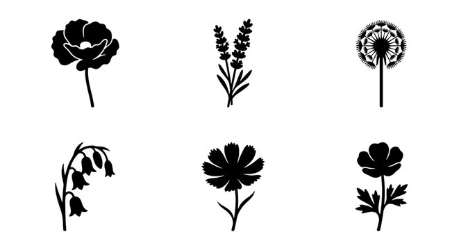 Minimalist floral silhouette icons, set of 6 black botanical flower vectors, elegant poppy lavender and dandelion plant graphics for logo design