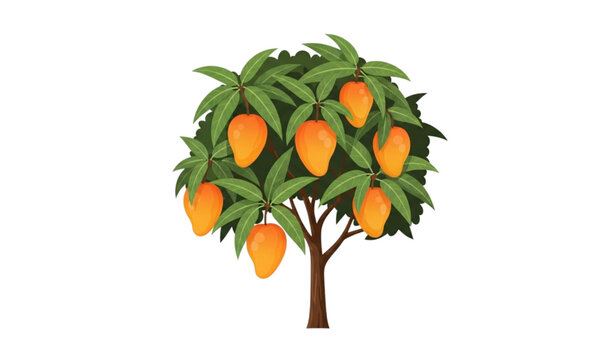 Stylized mango tree vector illustration flat fruit plant design