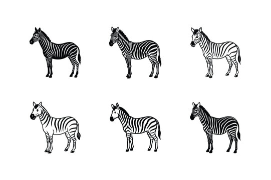 Set of six different stylized zebras in black and white vector art standing on white background