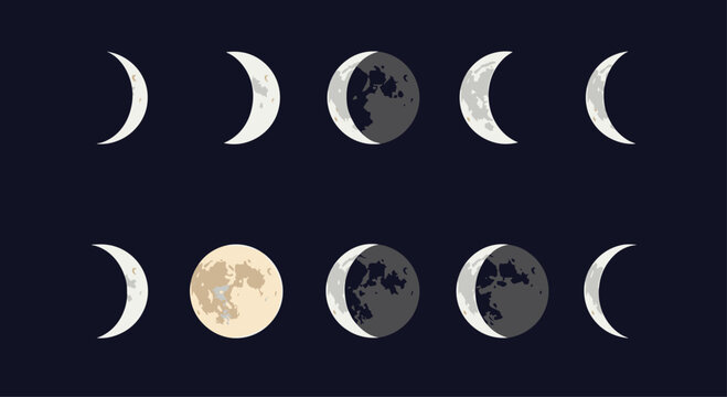 Scientific diagram of various moon phases from crescent to full moon displayed in a grid against a dark night sky background.