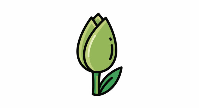 Simple green tulip bud with a single leaf on a white background