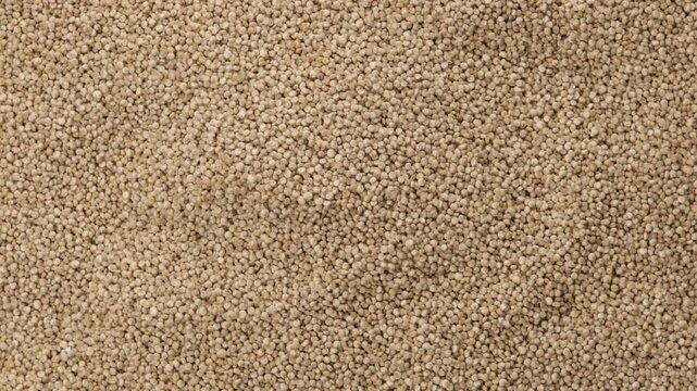 amaranth seeds food background top view rotation