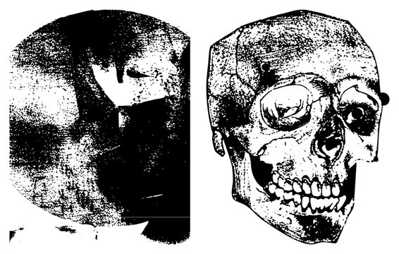 Two stylized human skulls depicted in black and white halftone, anatomical study, forensic reference, skeletal illustration, medical diagram, vintage graphic, scientific art.