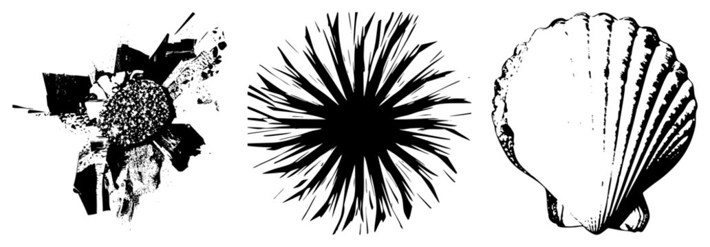 Sea urchin, starfish, scallop, marine life, oceanic vector art, isolated marine graphics, halftone style, underwater silhouette.