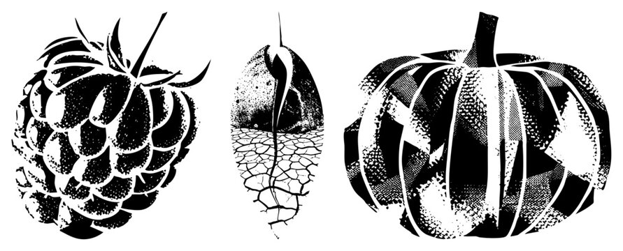 Black and white halftone illustrations of raspberry, seed pod, and pumpkin. Stylized botanical designs with stippling texture, isolated vector art for graphic design projects.