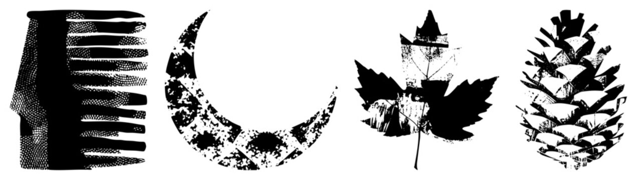 Black and white halftone vector illustrations of comb,, leaf, pinecone graphic design elements with grainy texture, isolated cutout, rgba background.