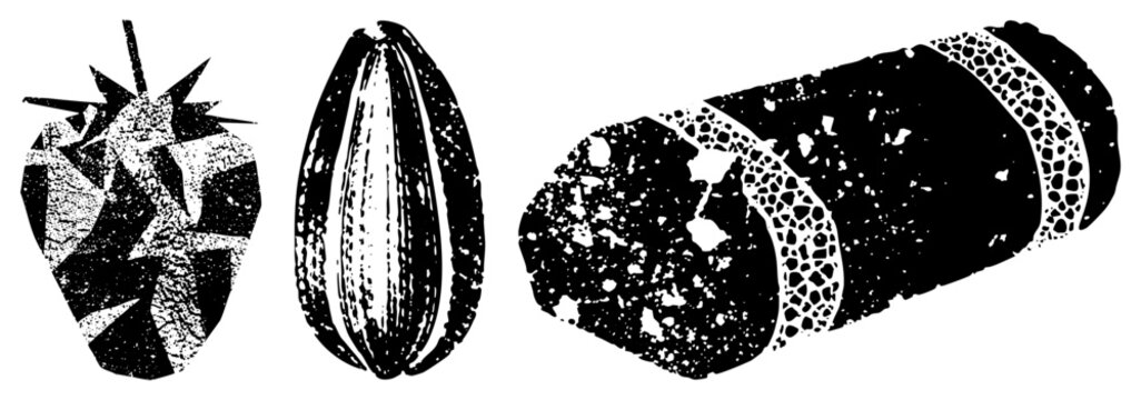 Graphic design featuring strawberry, cocoa pod, and bread slice with halftone texture, vector art, food set, isolated food illustrations, glyph style, flat design, rustic aesthetic.