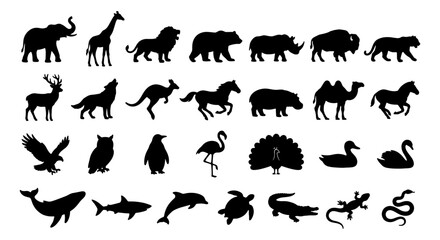 Black animal silhouettes collection, set of 28 wild animal icons, flat vector wildlife shapes for nature logos and educational design © Shohidul