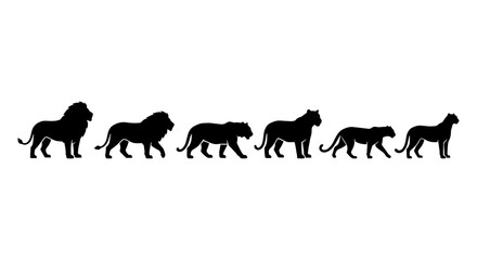 Wild cat silhouettes set, black lion and tiger vector icons, predatory african animals collection, safari wildlife silhouettes for logo design © Shohidul
