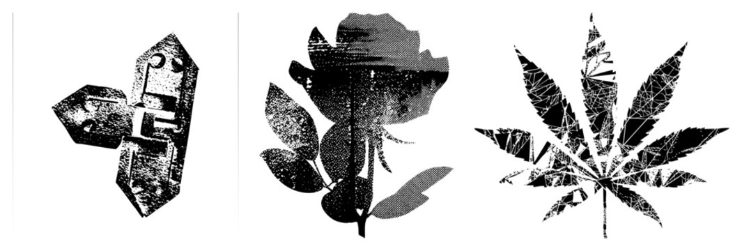Three stylized rendered in halftone texture antique lock, rose flower, leaf. Vector art with grainy, dotted shading. Isolated graphic elements for branding or UI.
