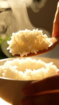 Steaming white rice fluffs under soft kitchen light creating a simple comforting food scene for home cooking nutrition meal prep and cuisine backgroundsrice