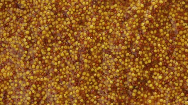 top view grainy mustard food texture zoom
