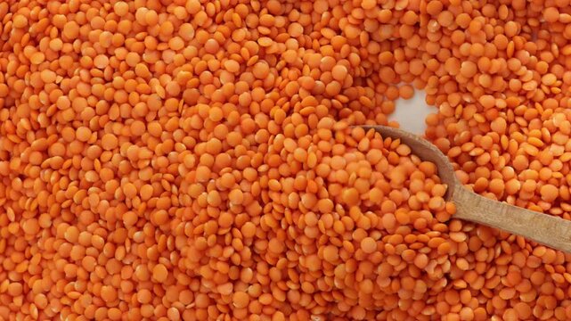 uncooked red lentils food backgroud wooden spoon