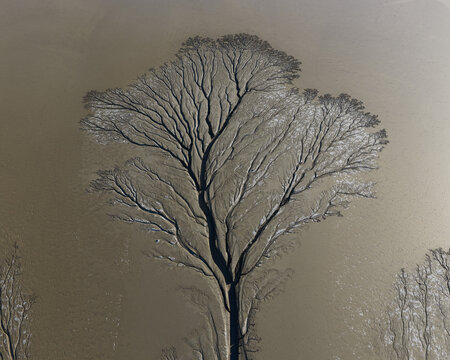 Eroding Fractal Pattern in Former Dried Up Lake Koehn