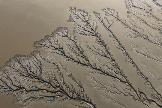Eroding Fractal Pattern in Former Dried Up Lake Koehn