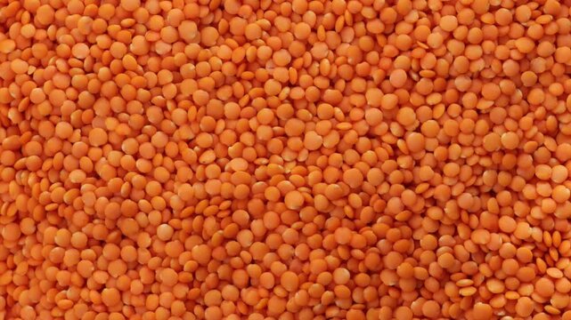 uncoked red lentils food backgroud zoom