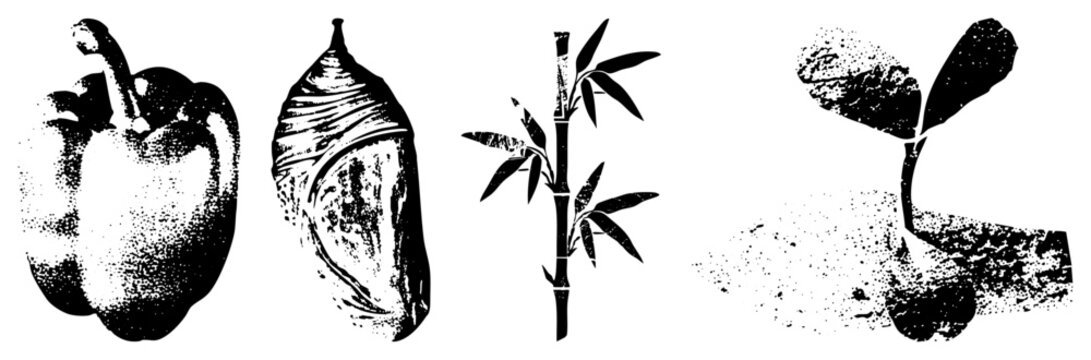 Black and white halftone illustrations of bell pepper, coconut, bamboo stalk, and sprouting seedling. Vector graphic with stippled texture, isolated elements, nature motifs, plant life stages.