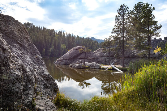 Rocky Lakeshore With Pine Trees and Reflections on a Calm Mounta