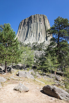 Devils Tower National Monument Rock Formation Framed By Pine Tre