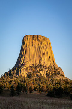 Devils Tower National Monument At Sunset Over Pine Forest, Wyomi