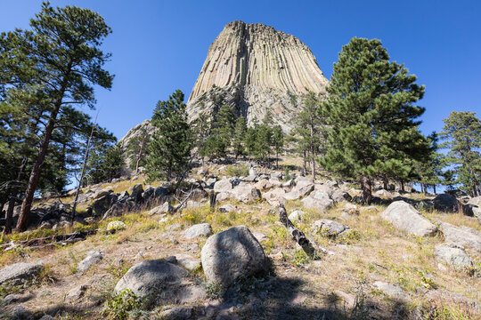 Devil's Tower National Monument Rising Above Pine Forest and Roc