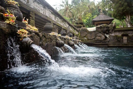 Holy springs on the island of Bali.