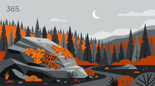 Autumnal forest landscape with orange lichen on rocks and a winding path under a gray sky illustration