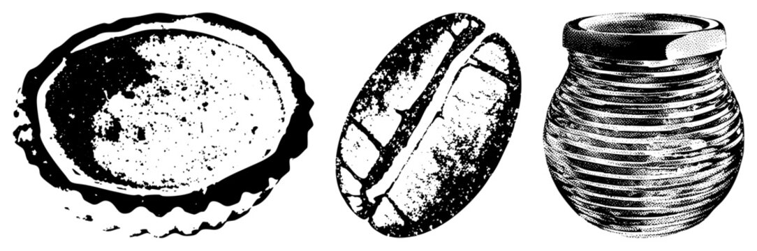 Artistic halftone depiction of coffee bean, abalone, and ceramic jar, classic vector engraving, illustration, vintage aesthetic.