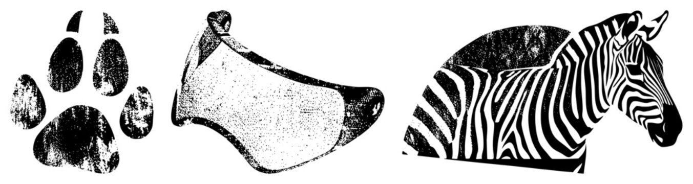 Zebra head with stripes, animal paw print, shoe, vector, halftone texture, graphic design elements.