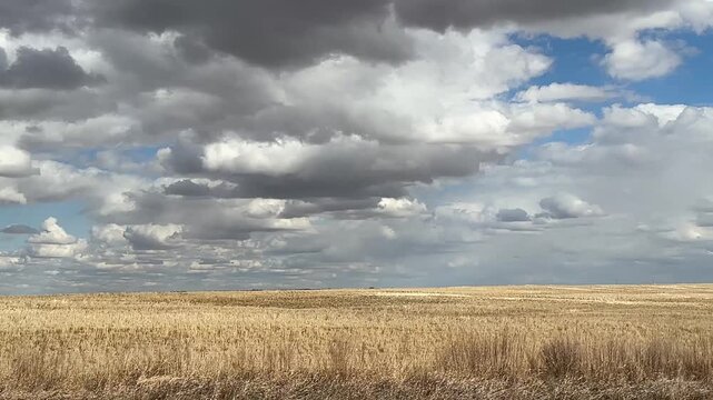 Alberta prairies in early spring showing dry grassland, open fields and transitional seasonal landscape