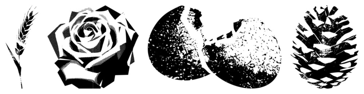 Stylized botanical vector rendered in halftone dot, including wheat stalk, rose, cracked egg, pinecone ideal for graphic design, print, or web assets.