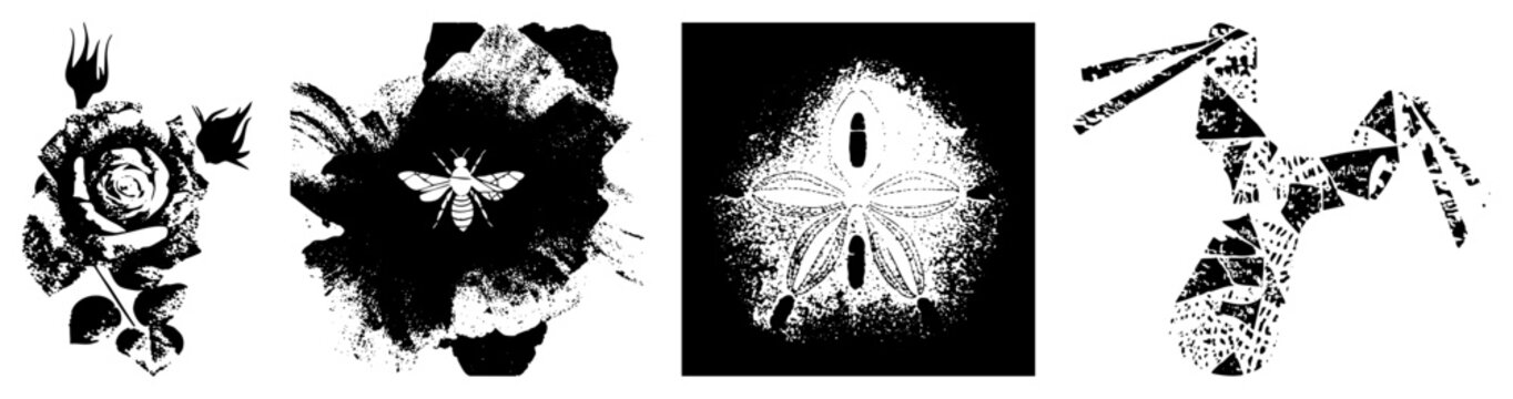 Black and white vector art featuring rose, bee, and sand dollar motifs, halftone textures, isolated graphics, stylized nature elements.