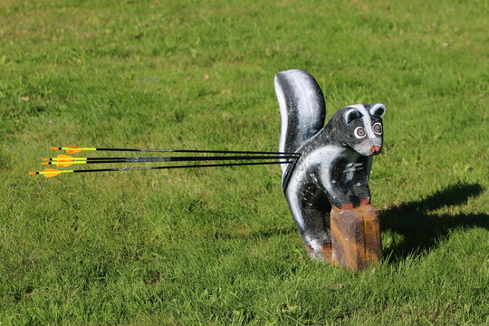 3D-Ziel Stinktier mit Pfeilen auf einer Wiese