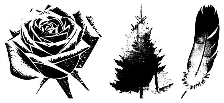 Artistic vector rose with layered petals, pine tree silhouette, feather with barbs. Tattoo or print design elements.