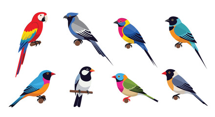 Naklejka premium Set of various colorful tropical and exotic birds perched on small wooden branches against a plain white background for design use.