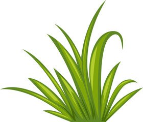 Fototapeta premium Green Grass Plant