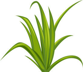 Obraz premium Green Grass Plant