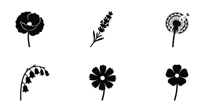 Minimalist black flower silhouettes, set of 6 floral vector icons, botanical poppy lavender and dandelion symbols for logo design and branding