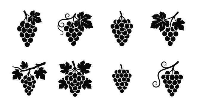 Vintage grape cluster icons set, black silhouette vineyard fruit with leaves, 8 vector elements for wine label design and organic food branding
