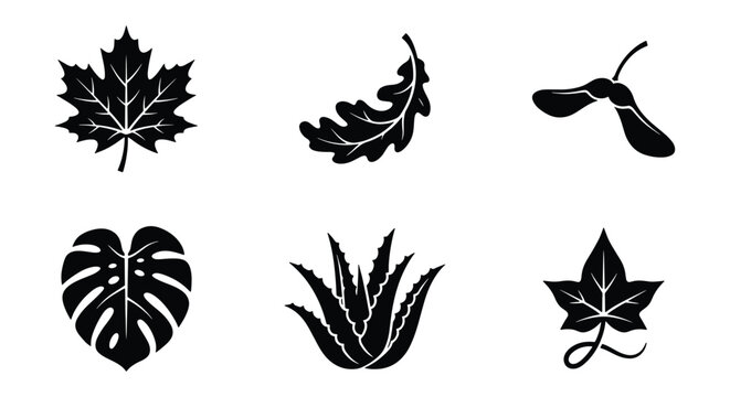 Black leaf icons set with maple, monstera, and oak foliage. Minimalist botanical vector collection of 6 plant elements. Autumn and tropical leaf silhouettes.