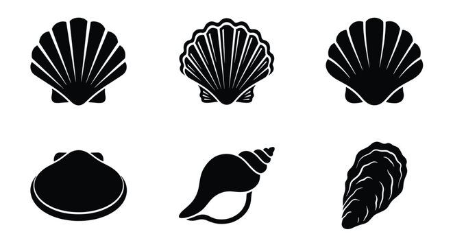Minimalist seashell icon set, black silhouette sea shell collection of 6 vector elements, scallop and oyster shell illustrations for nautical branding