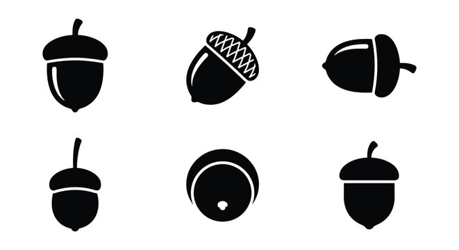 Minimalist acorn icon set, black oak nut silhouettes, collection of 6 vector elements for autumn nature branding and forest logos