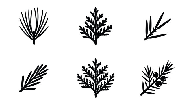 Hand drawn evergreen branch icons set, black ink conifer leaf vector illustrations, 6 botanical pine and fir sprig elements for winter design