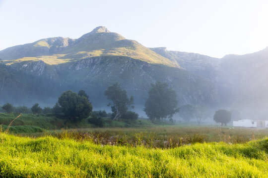 early morning mist over field, trees and mountain, Swellendam, South Africa