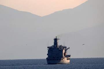 STRAIT OF HORMUZ U.S. Navy and Coast Guard ships participates  © Mubin