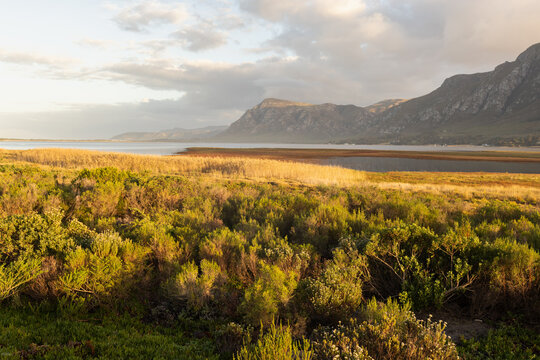 sunlight over fields, lagoon and Klein Mountain, Stanford, South Africa