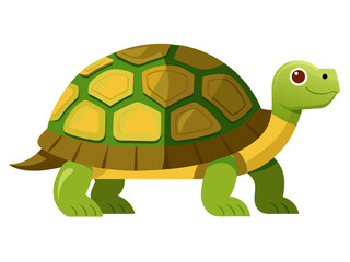 Obraz premium Turtle walking on white background illustration