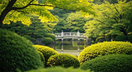 Serene japanese garden celebrating the spirit of showa day in nature