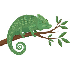 Naklejka premium Chameleon resting with curled tail on leafy branch illustration