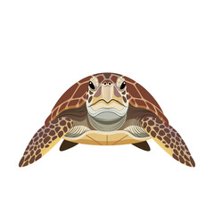 Obraz premium Sea turtle swimming facing forward on plain white background